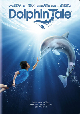 Dolphin Tale            Book Cover