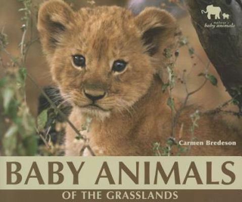 Baby Animals of the Grasslands 1598454064 Book Cover