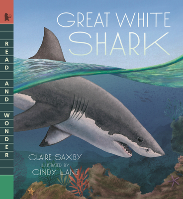 Great White Shark: Read and Wonder 1536240885 Book Cover