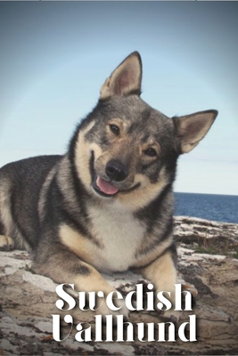 Swedish Vallhund: Dog breed overview and guide B0C9SJ2SJF Book Cover