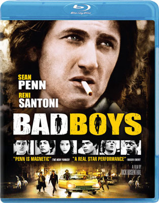 Bad Boys            Book Cover