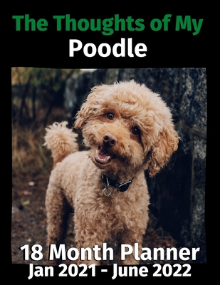 The Thoughts of My Poodle: 18 Month Planner Jan... B08HGNS79J Book Cover