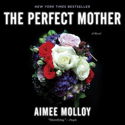 The Perfect Mother 1538519062 Book Cover