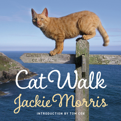 Cat Walk 1909823279 Book Cover