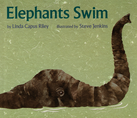 Elephants Swim 0395934893 Book Cover