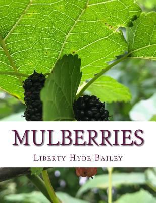Mulberries 197945437X Book Cover