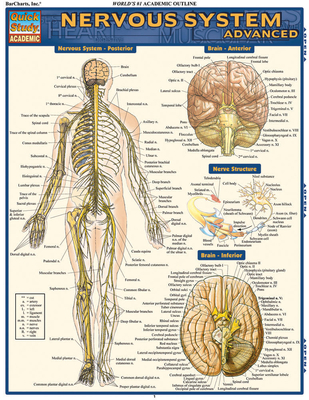 Nervous System Advanced 1423215060 Book Cover