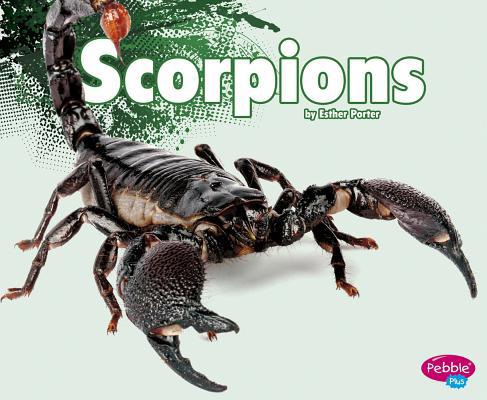 Scorpions (Creepy Crawlers) 147652064X Book Cover