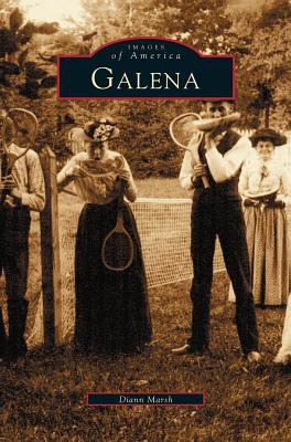 Galena, Illinois 1531619363 Book Cover