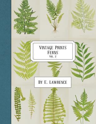 Vintage Prints: Ferns: Vol. 2 1987650638 Book Cover