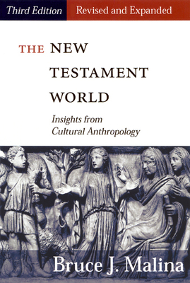 New Testament World, Third Edition, Revised and... B00KEW4HHG Book Cover