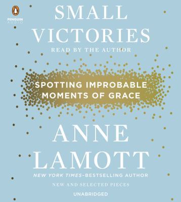 Small Victories: Spotting Improbable Moments of... 1611763703 Book Cover