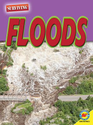 Floods 1489697853 Book Cover