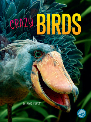 Crazy Birds B0CZ7K934P Book Cover