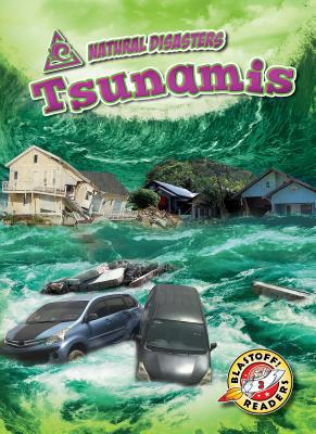 Tsunamis 1644870282 Book Cover