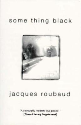 Some Thing Black 1564782069 Book Cover