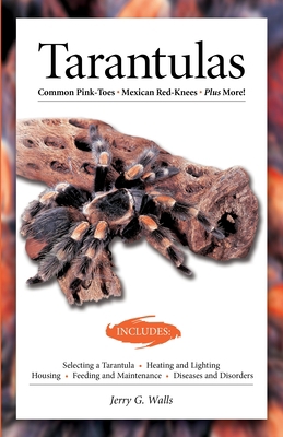 Tarantulas (Advanced Vivarium Systems) 1620082705 Book Cover