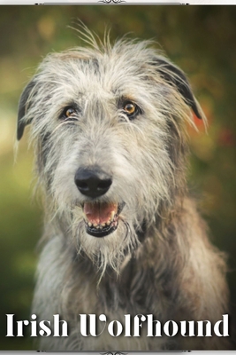 Irish Wolfhound: Dog breed overview and guide B0C9SK174Q Book Cover