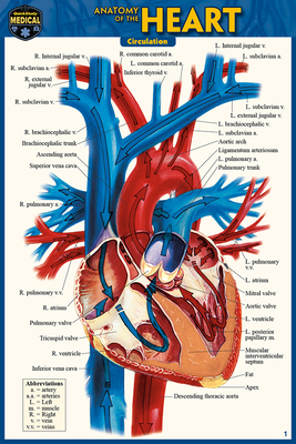 Anatomy of the Heart (Pocket-Sized Edition - 4x... 142324270X Book Cover