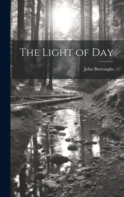 The Light of Day 1019825189 Book Cover