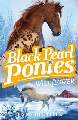 Wildflower (Black Pearl Ponies) 0340998938 Book Cover