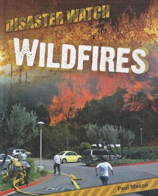 Wildfires 1599204282 Book Cover