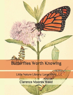 Butterflies Worth Knowing: Little Nature Librar... B08BWFKZZT Book Cover