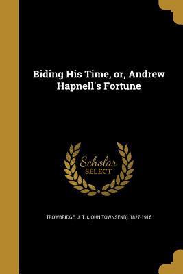 Biding His Time, or, Andrew Hapnell's Fortune 136058126X Book Cover