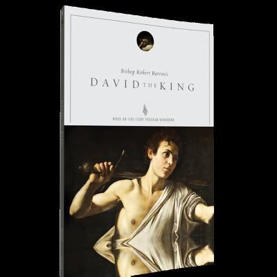David the King Study Guide 1943243182 Book Cover
