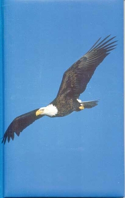 Eagle Blank Journal 1932472134 Book Cover