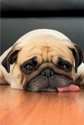 Cute Pug Notebook & Journal. Productivity Work Planner & Idea Notepad: Brainstorm Thoughts, Self Discovery, to Do List 1981554424 Book Cover