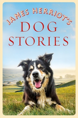 James Herriots Dog Stories 1529023610 Book Cover