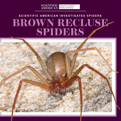 Brown Recluse Spiders 1725351218 Book Cover