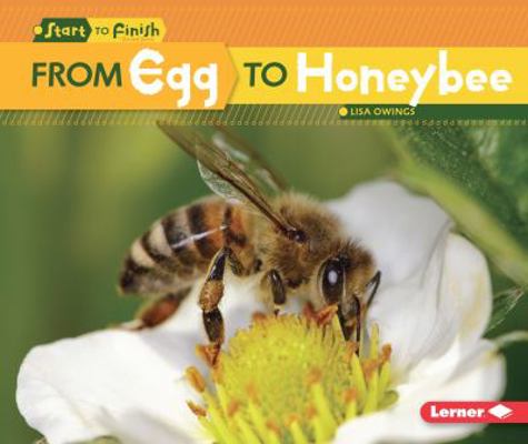 From Egg to Honeybee 151241297X Book Cover