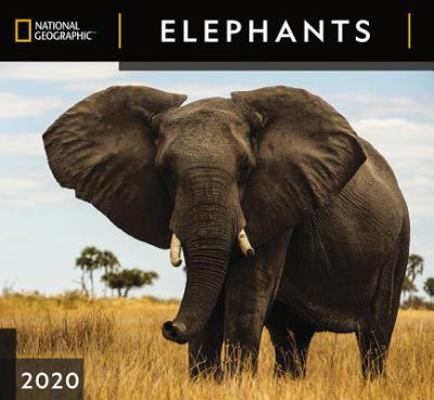 Calendar National Geographic Elephants 2020 Wall Calendar Book