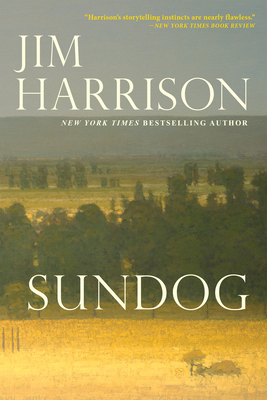 Sundog 0802158498 Book Cover