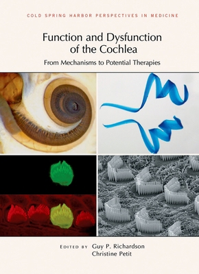 Function and Dysfunction of the Cochlea: From M... 1621822796 Book Cover