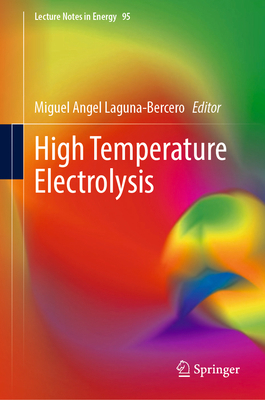 High Temperature Electrolysis 3031225074 Book Cover