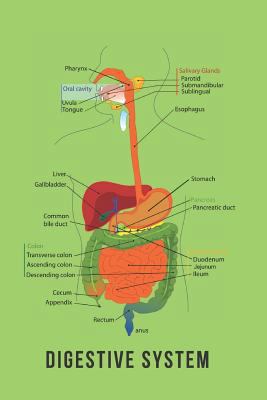 Digestive System: Blank Line Journal 1729329012 Book Cover