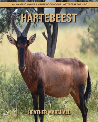 Paperback Hartebeest: An Amazing Animal Picture Book about Hartebeest for Kids [Large Print] Book