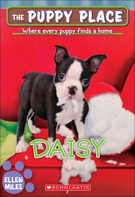 Daisy 0606377786 Book Cover