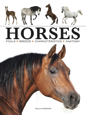 Horses 1838862595 Book Cover