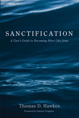 Sanctification: A User's Guide to Becoming More... 1725268701 Book Cover