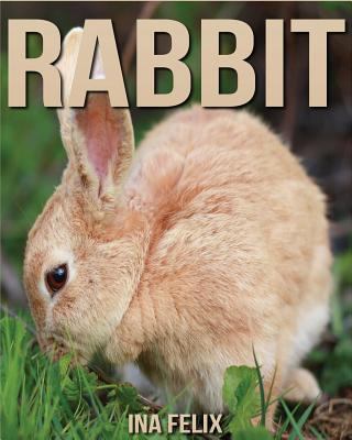 Rabbit: Children Book of Fun Facts & Amazing Photos on Animals in Nature - A Wonderful Rabbit Book for Kids aged 3-7 1532772017 Book Cover