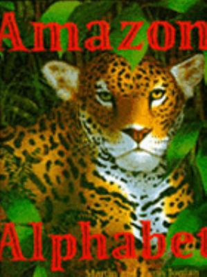 Amazon Alphabet 1856974731 Book Cover