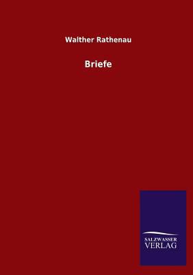 Briefe [German] 384603472X Book Cover
