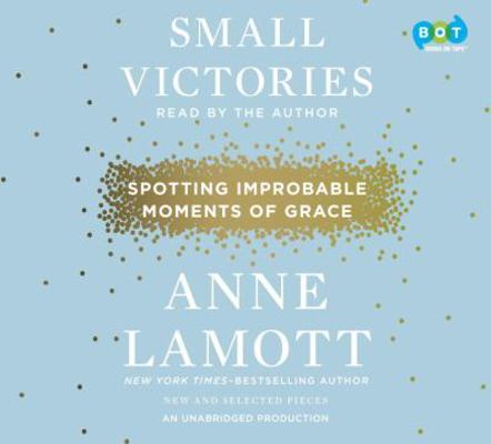 Small Victories 1101887524 Book Cover