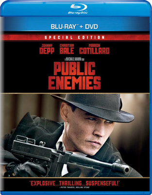 Public Enemies            Book Cover