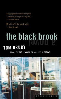 The Black Brook 0395979501 Book Cover