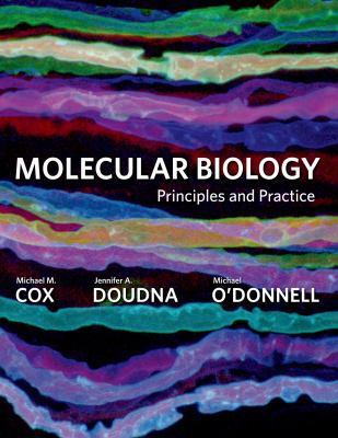 Molecular Biology: Principles and Practice 0716779986 Book Cover